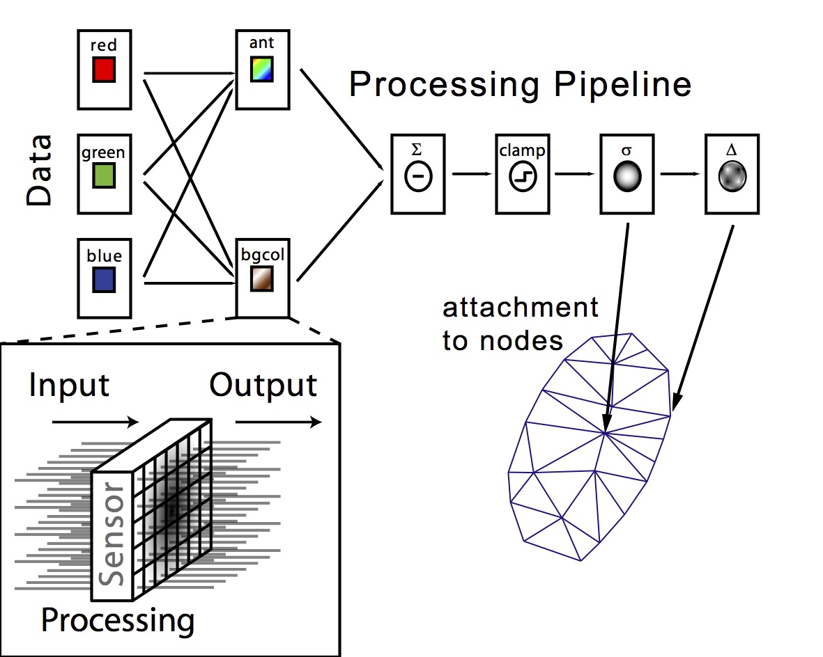 Sensors can be convolutions or non-linear functions of source sensors in this bottom-up data flow architecture.